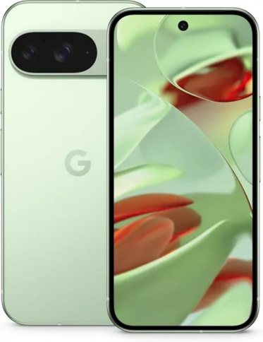 Google Pixel 9 12/128Gb (Wintergreen) фото 1